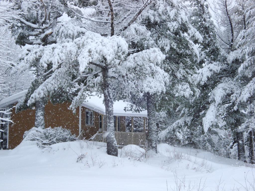 Auberge La Taniere Tadoussac Eksteriør bilde