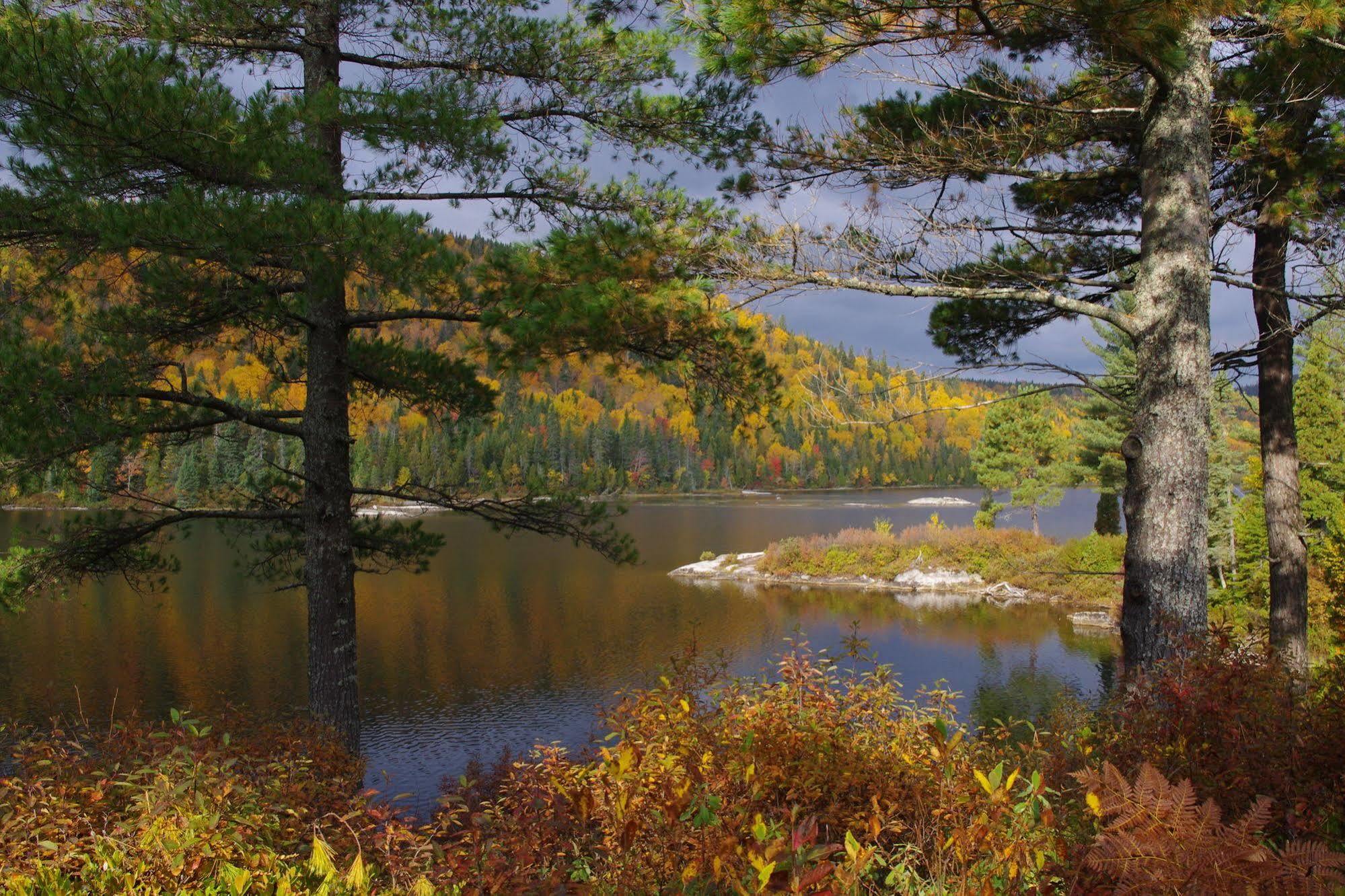 Auberge La Taniere Tadoussac Eksteriør bilde